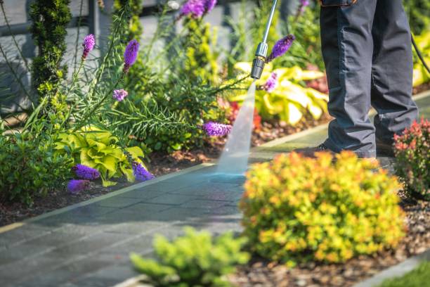 Best Boat and Dock Cleaning  in Gilbert, AZ